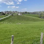 Joanesenea Bi